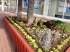 店前の花壇